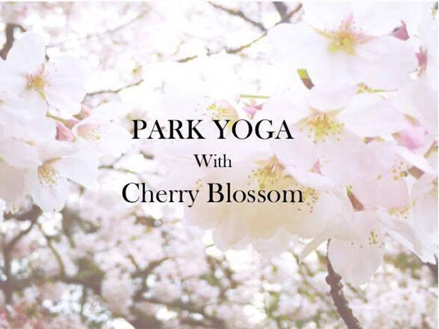 Yoga with Cherry Blossom